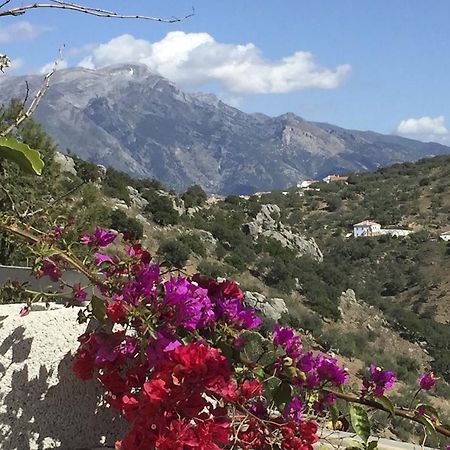 Loma Los Pelones 78 Viñuela Eksteriør bilde