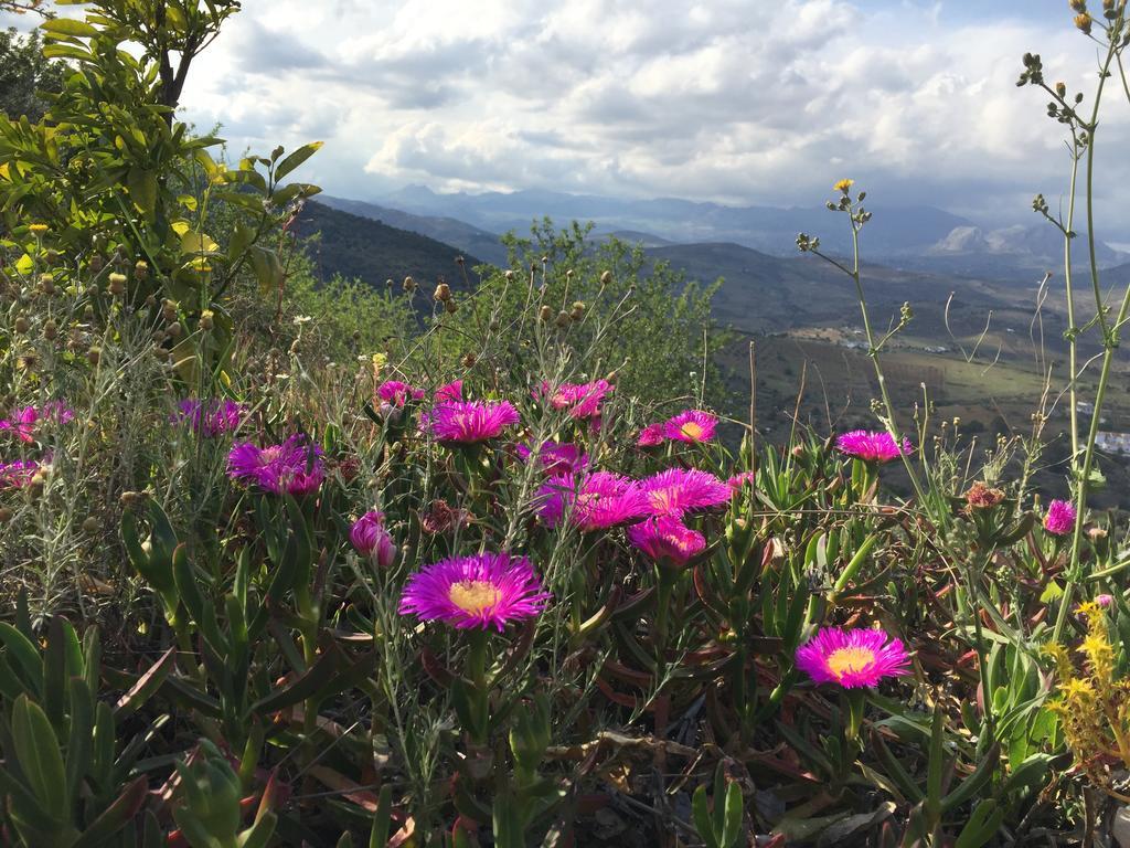 Loma Los Pelones 78 Viñuela Eksteriør bilde