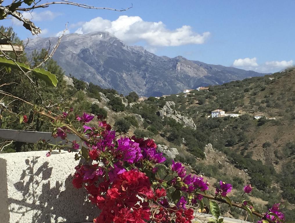 Loma Los Pelones 78 Viñuela Eksteriør bilde